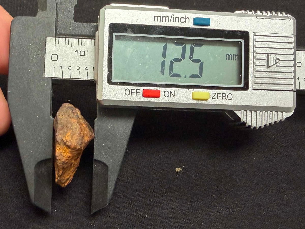Whitecourt meteorite caliper measurement — longest dimension approx. 30.8mm