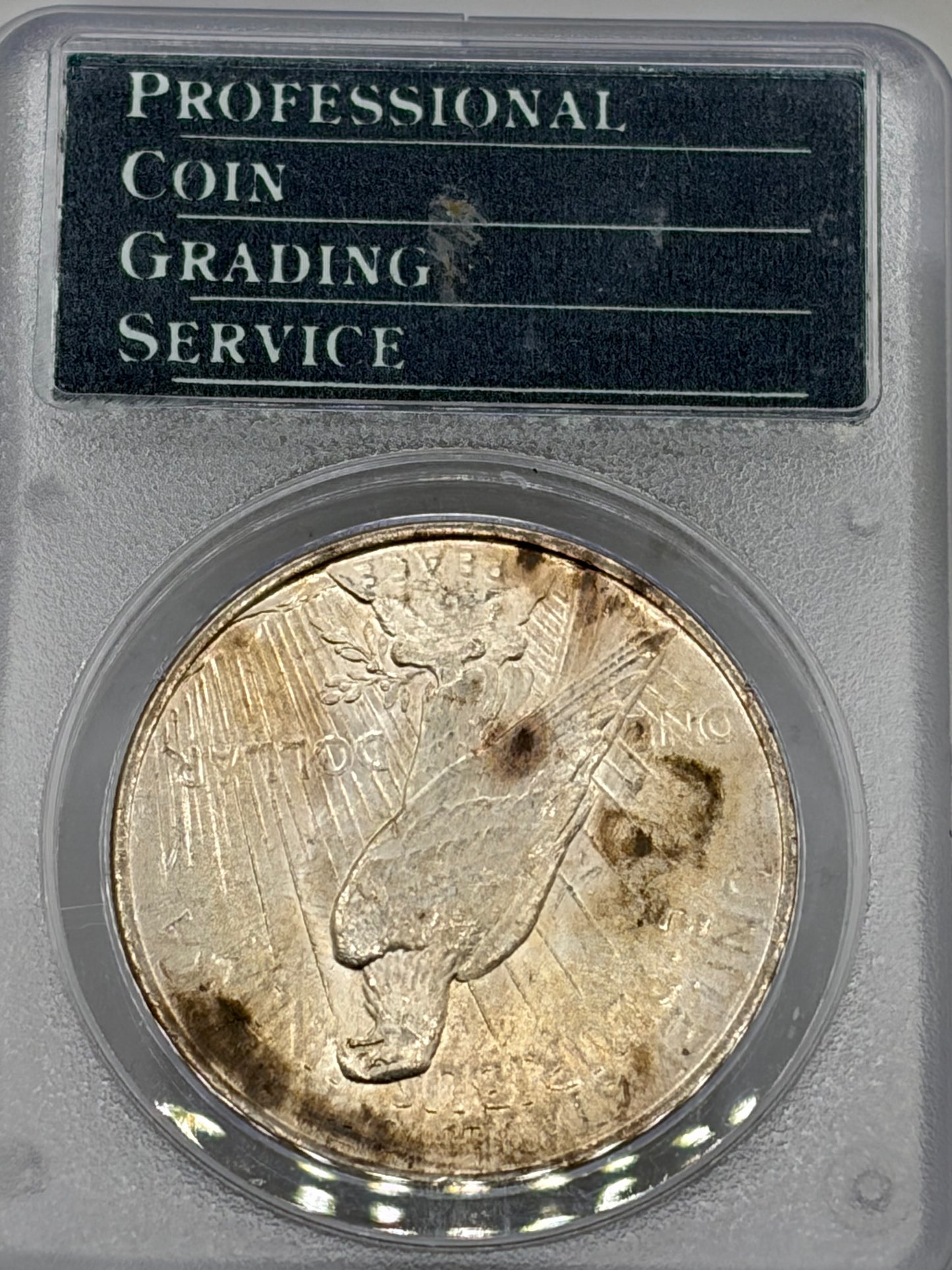 1923 Peace Silver Dollar PCGS MS64 | Brilliant Uncirculated | Philadelphia Mint. Old holder!