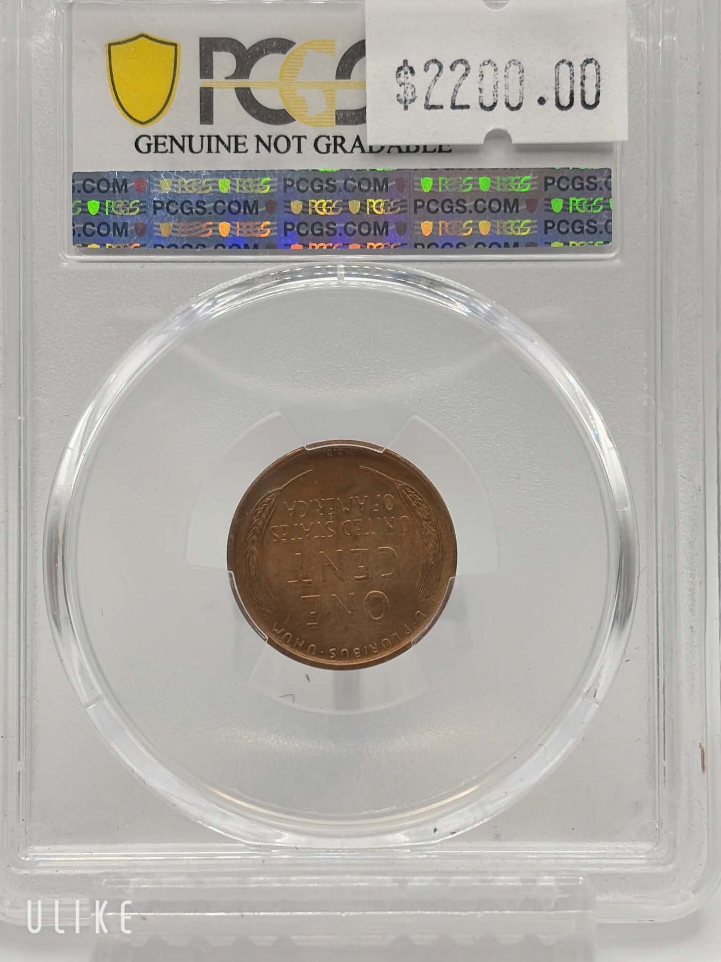1909-S VDB Lincoln Cent — reverse showing wheat ears and VDB initials in PCGS holder