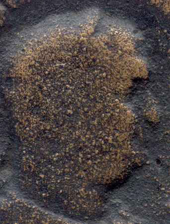 sand grain textures