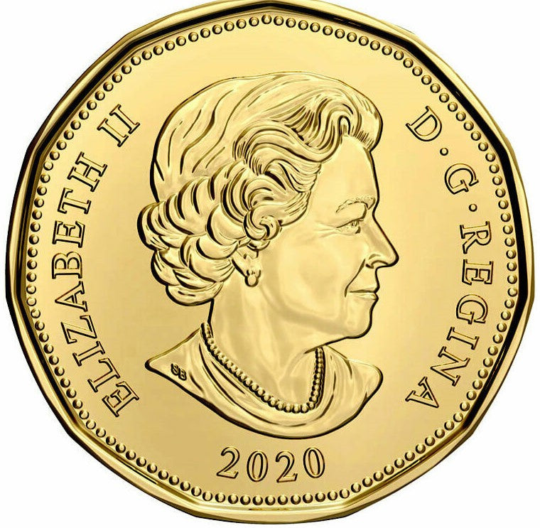 Dollar 2020 - Current Year