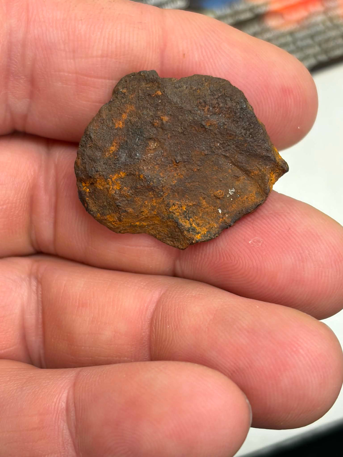 Whitecourt meteorite 28.356g in display box with information card — Iron IIIAB Alberta Canada