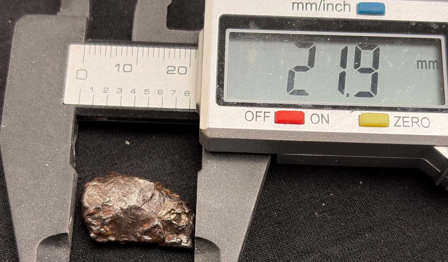 Sikhote-Alin meteorite caliper measurement — length approx. 21.9mm