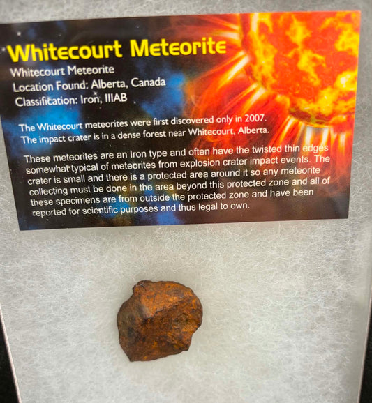 Whitecourt meteorite 28.356g — close-up view of surface texture and character
