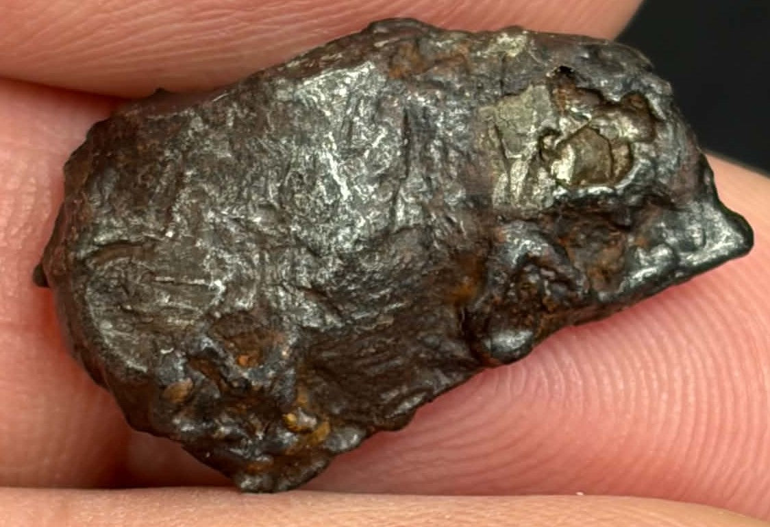 Sikhote-Alin iron meteorite 6.898g — obverse showing regmaglypts, held in fingers