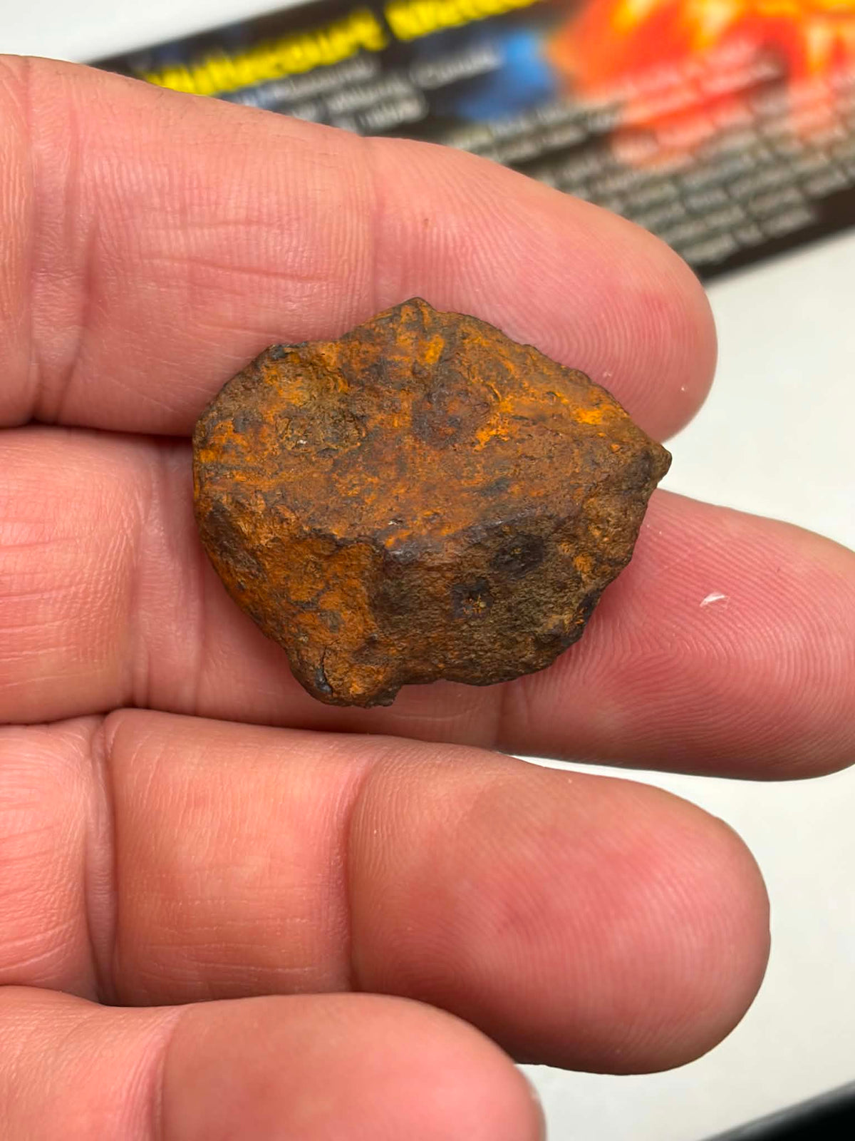 Whitecourt meteorite 28.356g — additional view showing surface character, held in hand