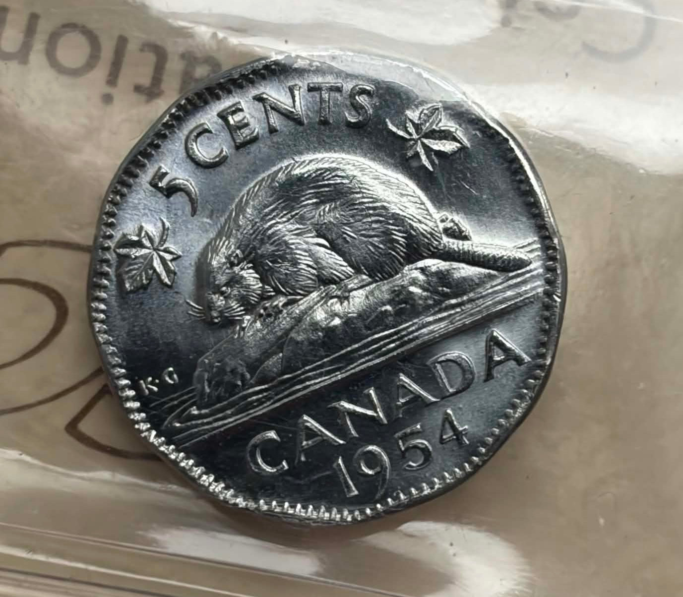 1954 Canadian 5 Cent SF — reverse showing beaver design, Canada 1954 in ICCS holder