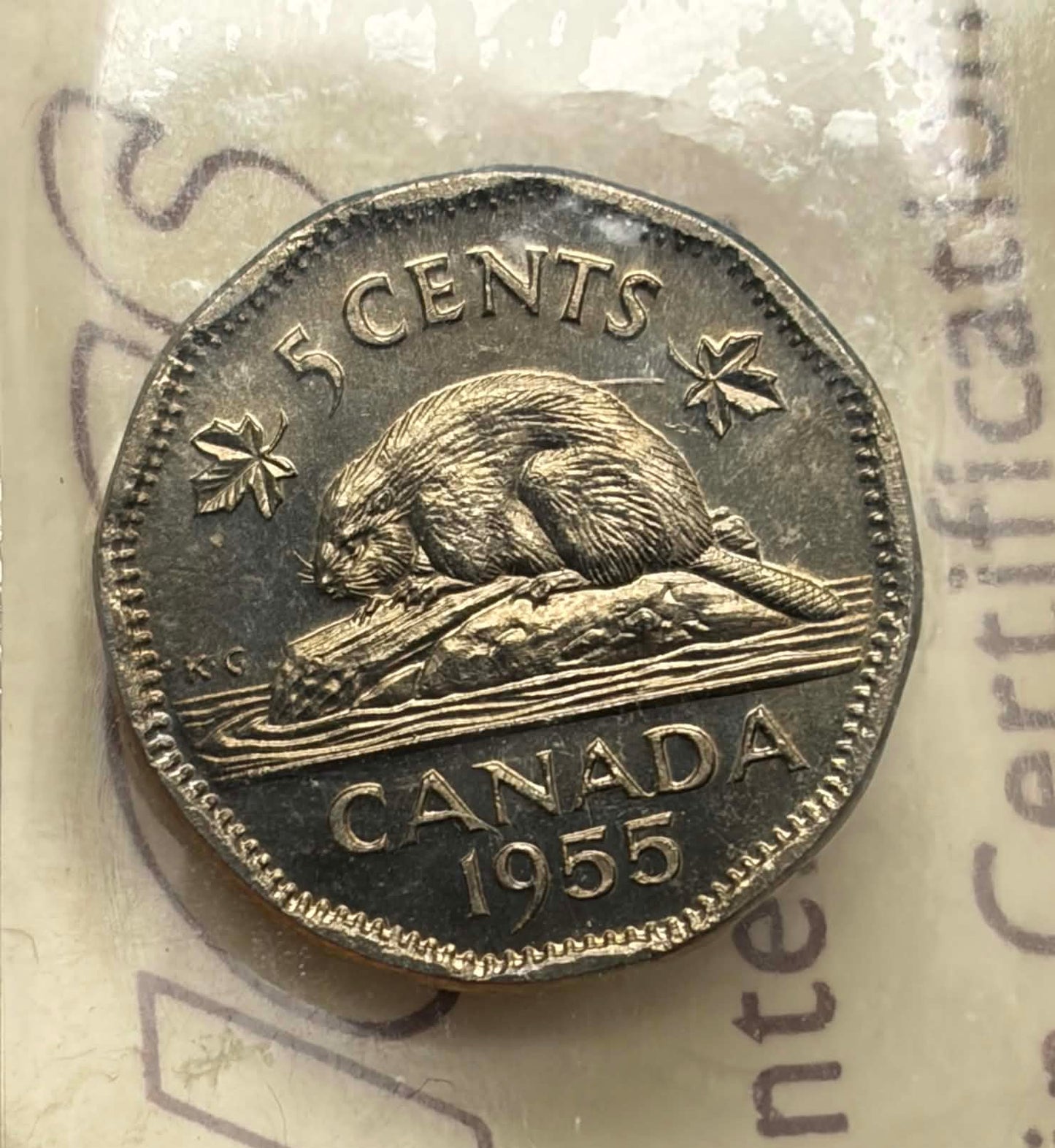 1955 Canadian 5 Cent — reverse showing beaver design, Canada 1955