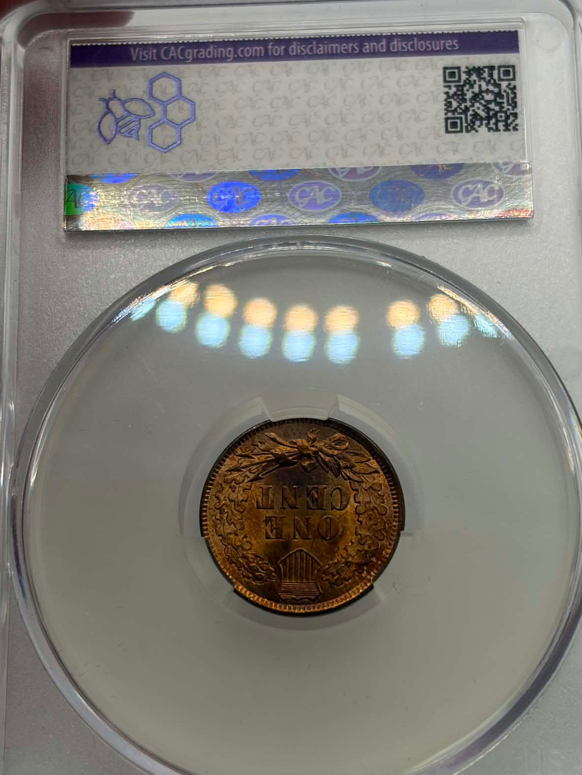 1899 Indian Head Cent — CAC holder reverse showing green CAC sticker hologram and CACgrading.com label