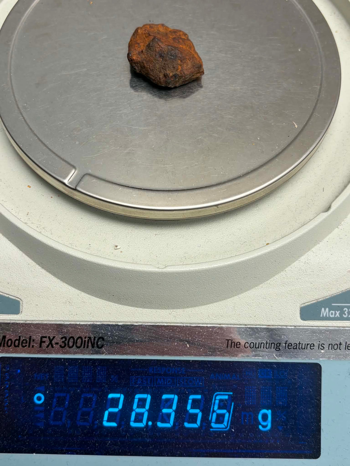 Whitecourt meteorite 28.356g — reverse showing iron surface texture, held in hand
