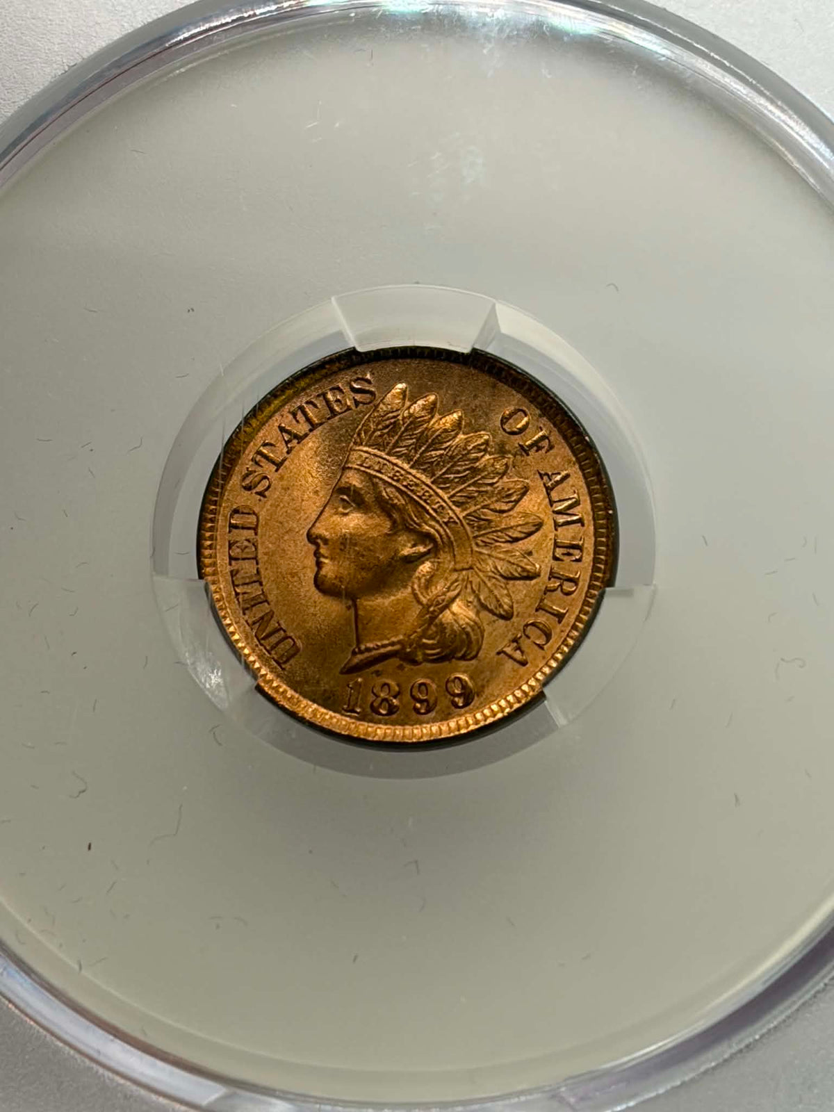 1899 Indian Head Cent — reverse showing ONE CENT laurel wreath and federal shield, CAC MS-66 RB