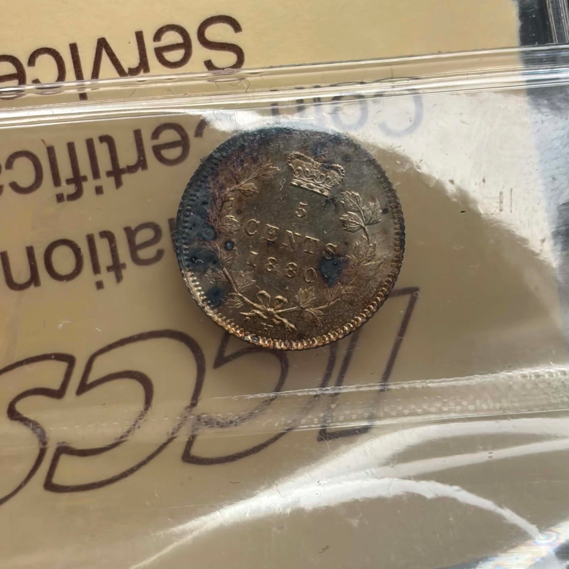1880H Canadian 5 Cents — reverse showing 5 CENTS 1880 maple wreath in ICCS holder
