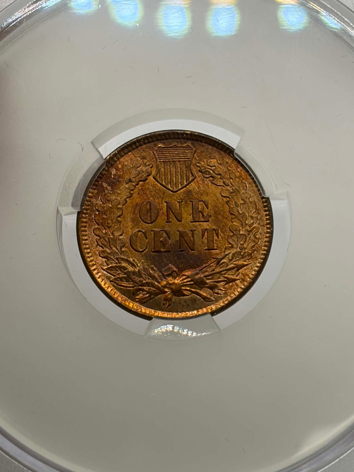 1899 Indian Head Cent — obverse showing Liberty in Indian war bonnet UNITED STATES OF AMERICA 1899, CAC MS-66 RB