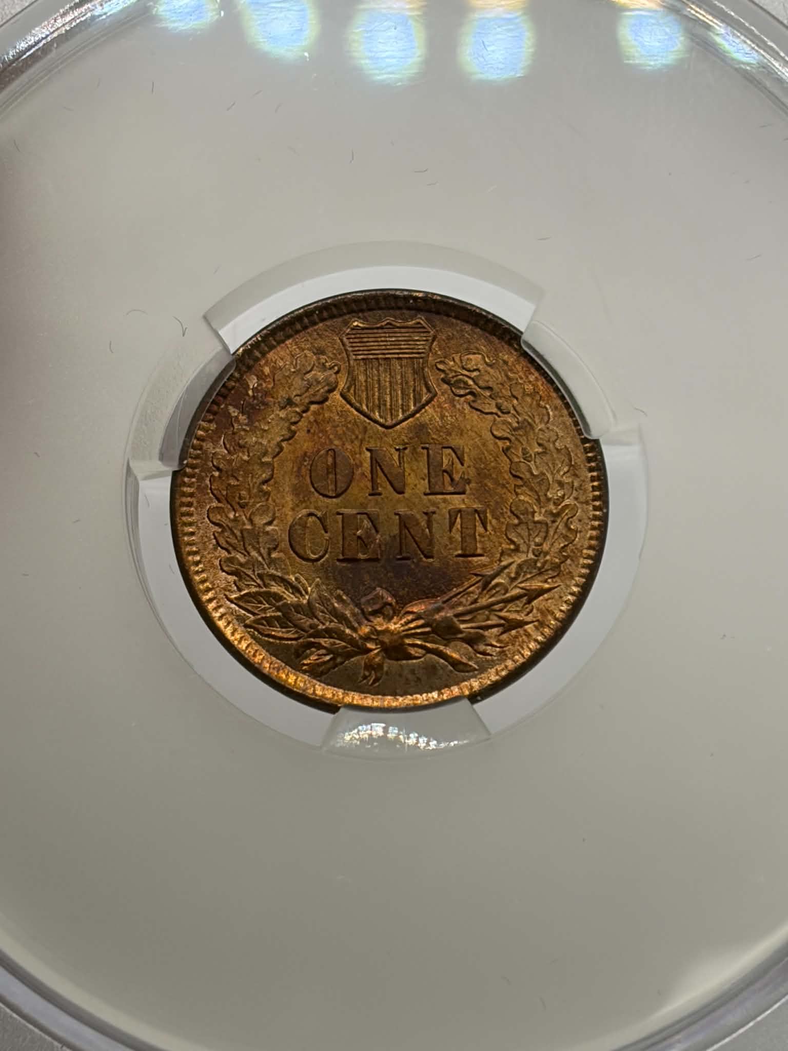 1899 Indian Head Cent — obverse showing Liberty in Indian war bonnet UNITED STATES OF AMERICA 1899, CAC MS-66 RB