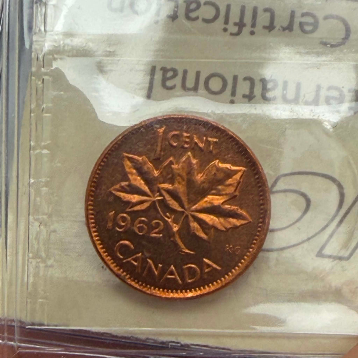 1962 Canadian 1 Cent — reverse showing maple twig 1 CENT CANADA 1962 in ICCS holder