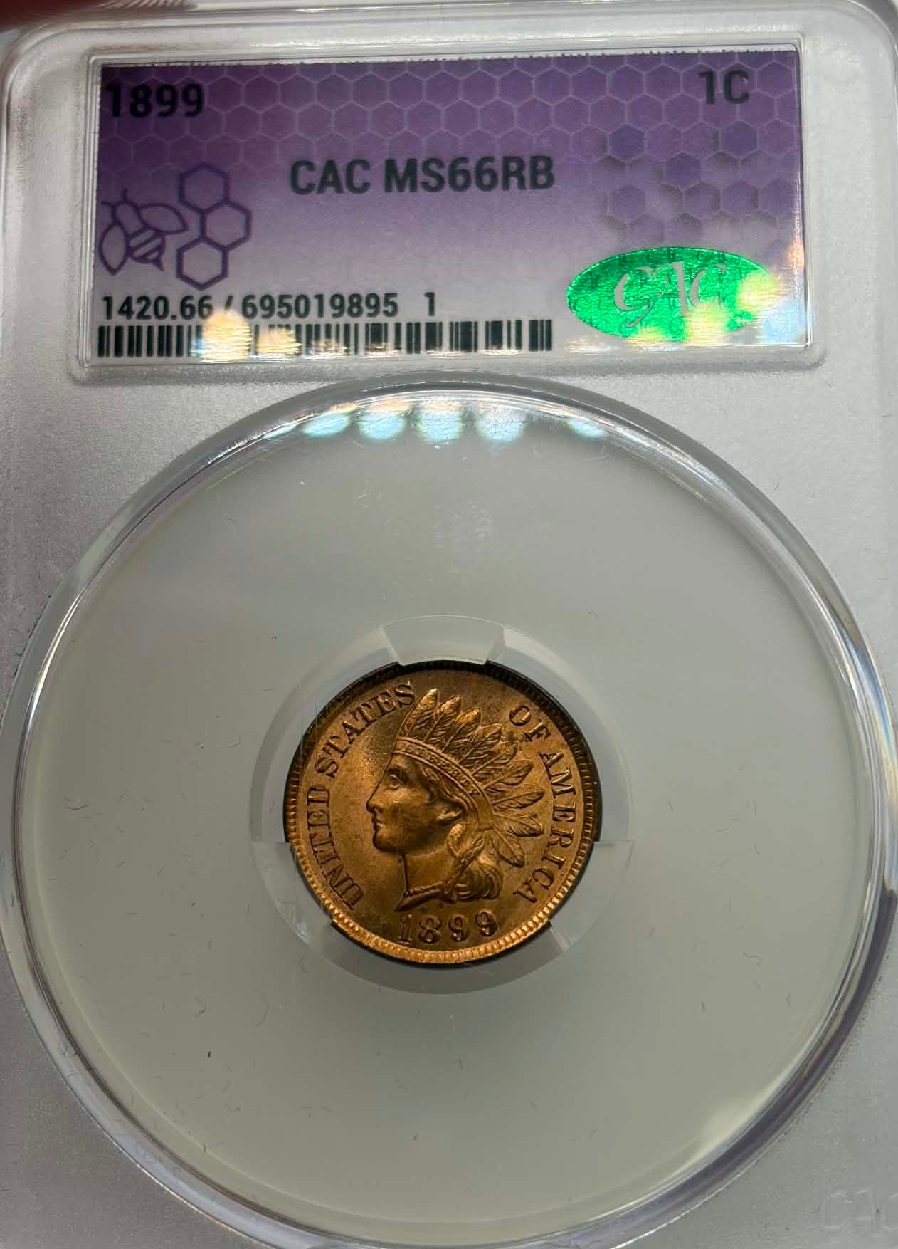 CAC label — 1899 Indian Head Cent MS-66 RB with green CAC sticker, Cert No. 695019895