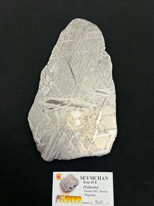 Seymchan Pallasite Meteorite Slice — 868g | Iron IIE | Found 1967, Russia