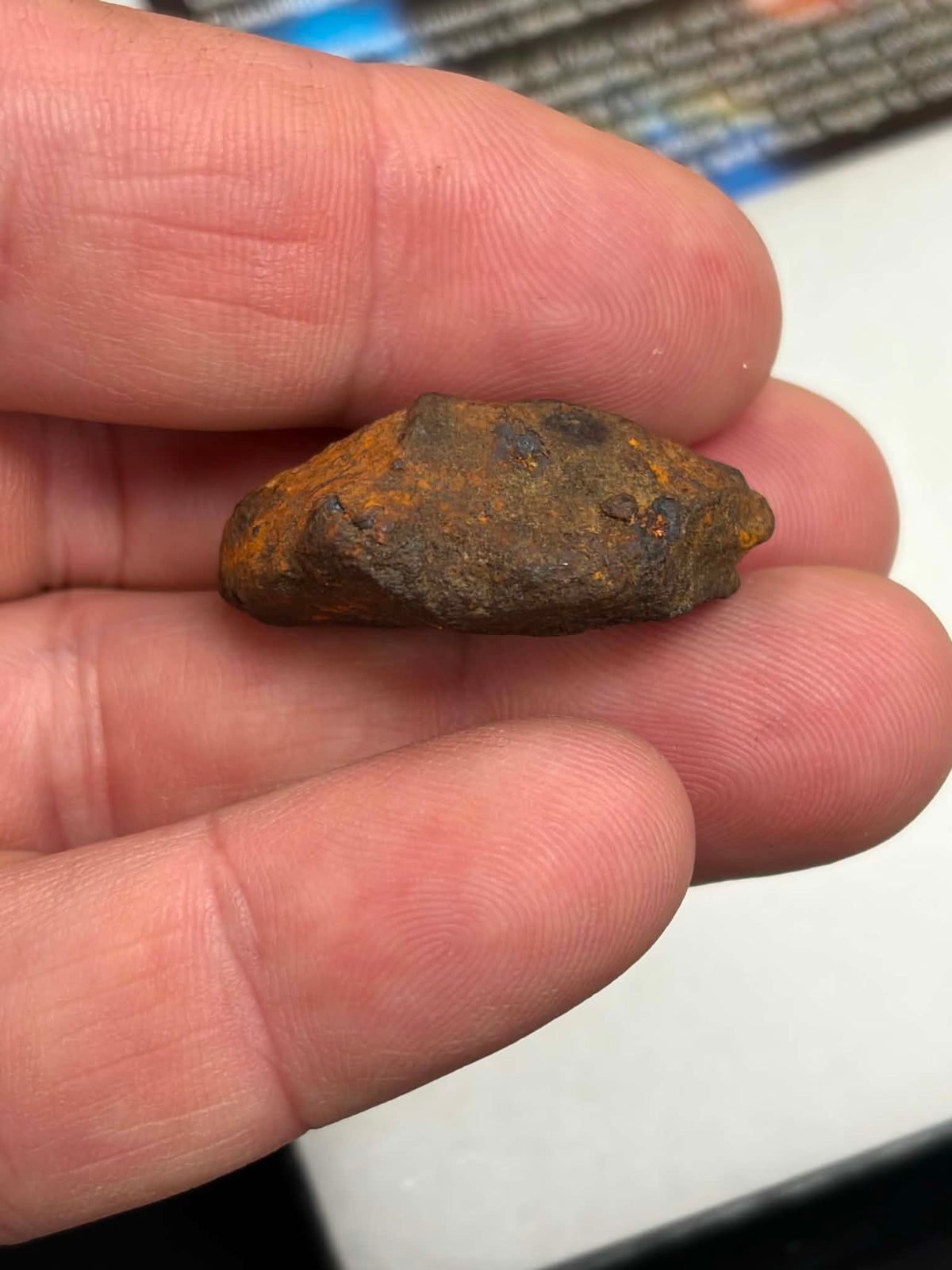 Whitecourt meteorite 28.356g — obverse showing twisted iron surface, held in hand