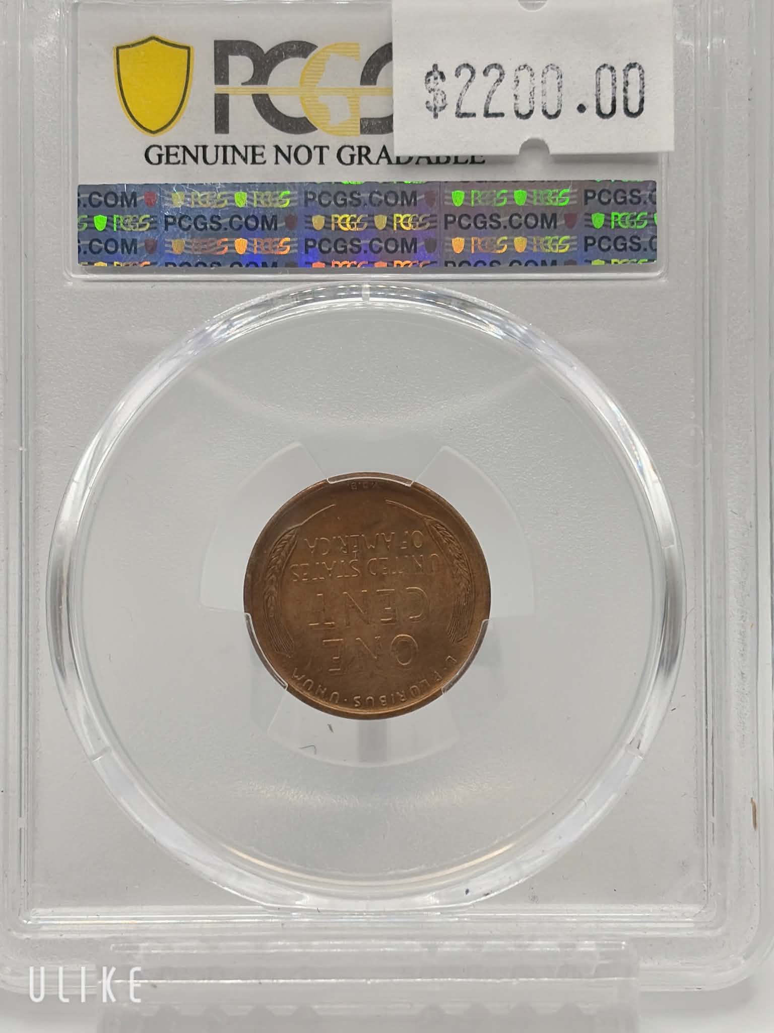 1909-S VDB Lincoln Cent — reverse showing wheat ears and VDB initials in PCGS holder